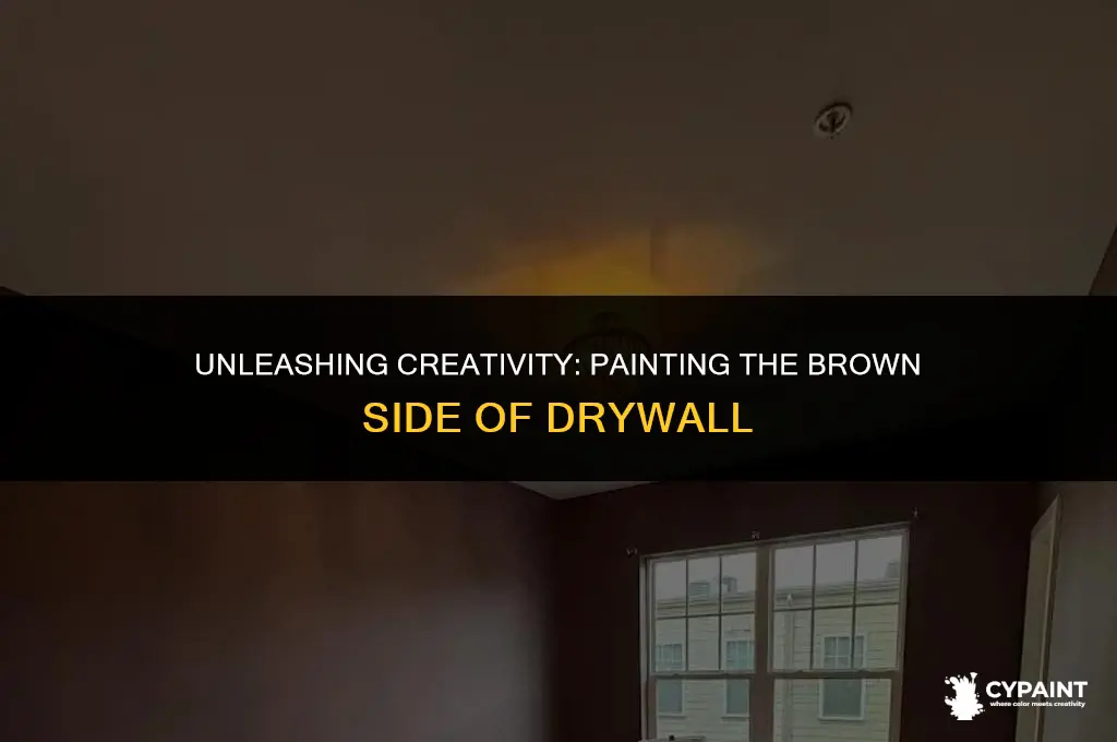 can you paint the brown side of drywall