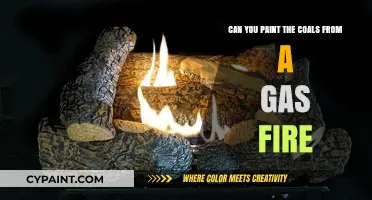 Painting Gas Fire Coals: A Creative DIY Project