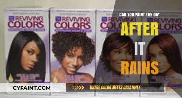 Reviving Colors: Painting the Day After Rain