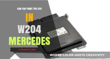 Revamping Your W204 Mercedes: A Guide to ECU Painting