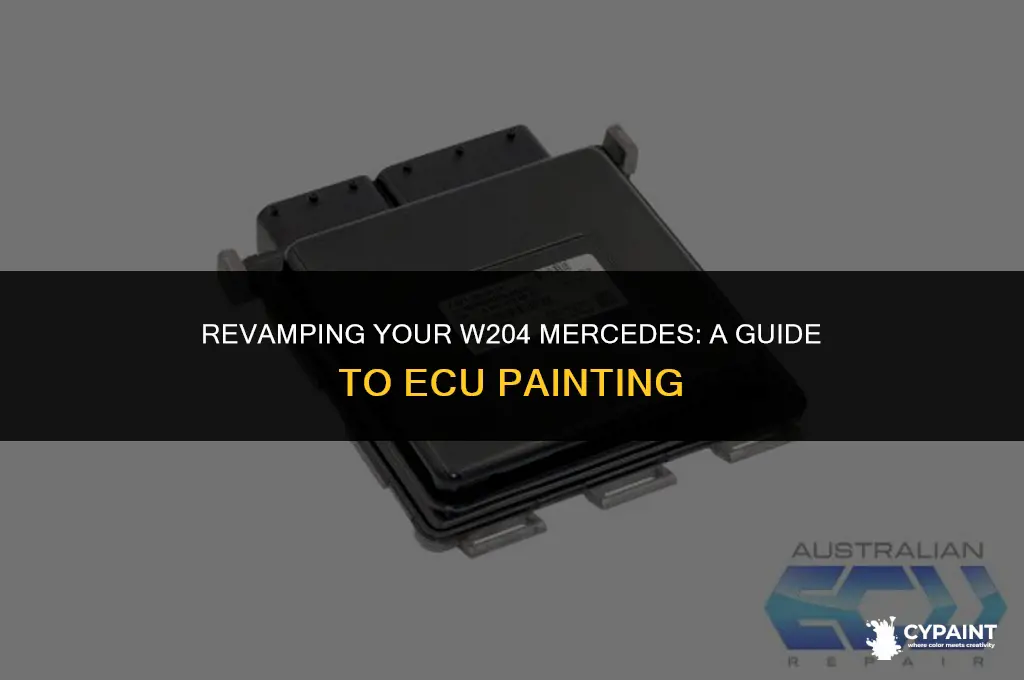 can you paint the ecu in w204 mercedes