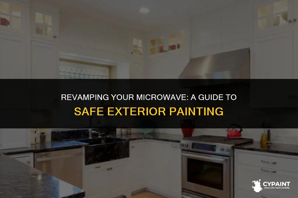 can you paint the exterior of a microwave