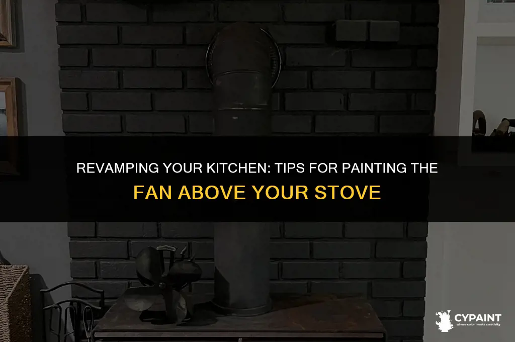 can you paint the fan àbove your stove