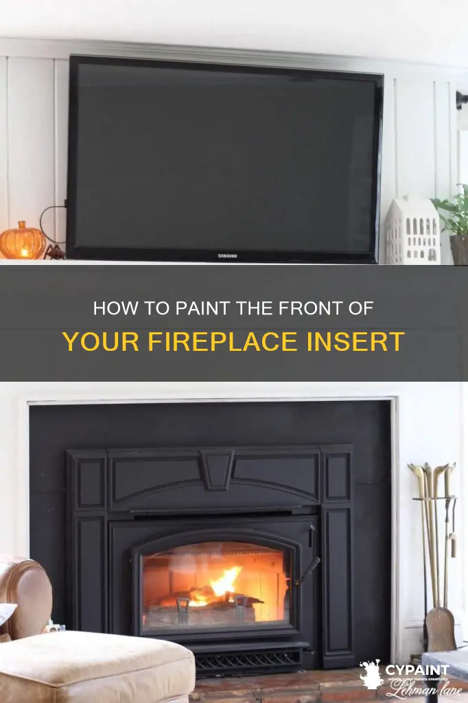 can you paint the front of a fireplace insert