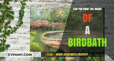 Revamping Your Birdbath: A Guide to Painting Its Interior