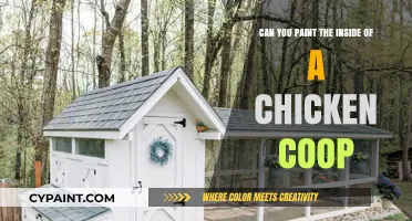Painting Chicken Coops: Inside and Out