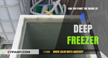 Spray-Painting Deep Freezers: A Creative Makeover