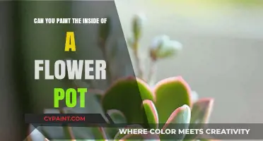 Painting Flower Pots: Inside Creativity