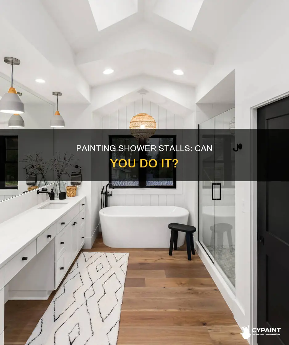 can you paint the inside of a shower stall