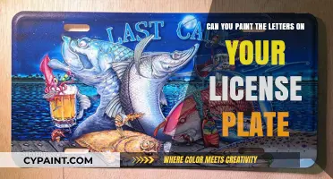 Customizing Your License Plate: Painting Letters Legally