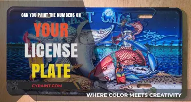 Customizing Your License Plate: Painting Numbers Legally