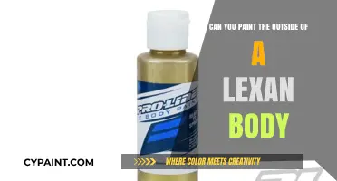 How to Paint Lexan Bodies: A Guide