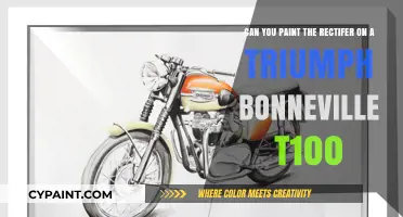 Painting Your Triumph Bonneville T100 Rectifier: Tips and Tricks