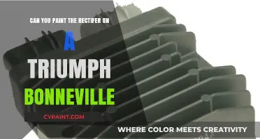 How to Paint Your Bonneville's Rectifier