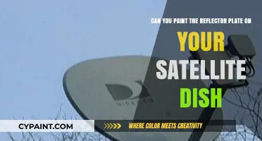 Painting Your Satellite Dish Reflector Plate: Risks and Alternatives Explained