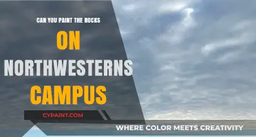 Unleashing Creativity: Painting the Rocks on Northwestern's Campus