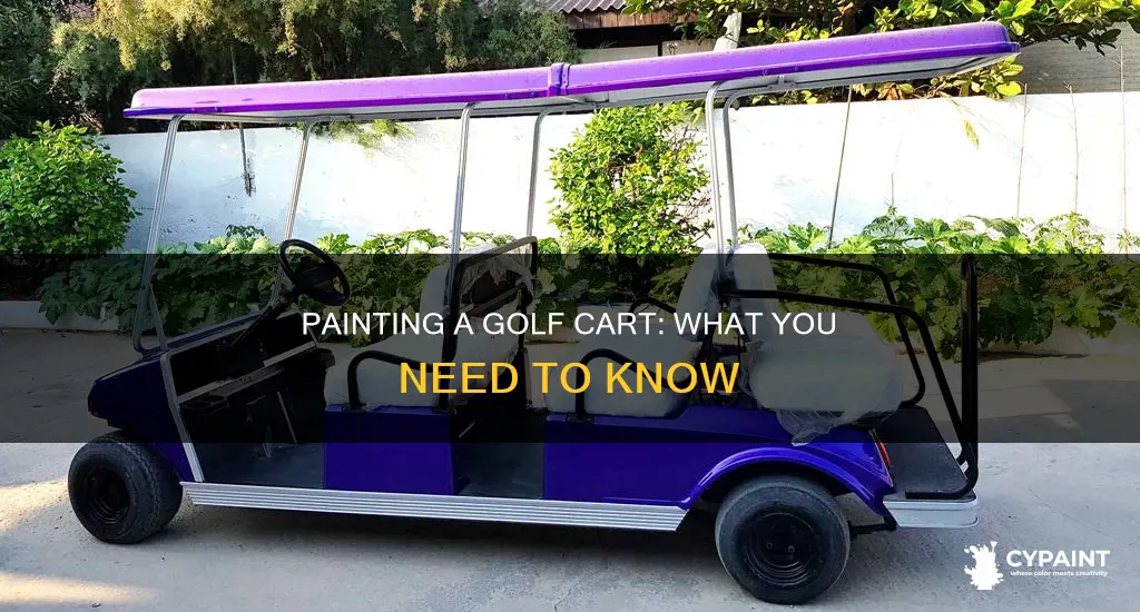 can you paint the rough of a golf cart