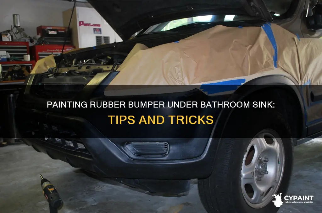 can you paint the rubber bumper under your bathroom sink