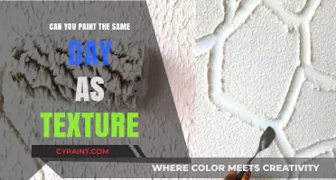 Same-Day Painting Over Texture: Tips and Tricks for a Flawless Finish
