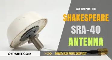 Reviving the Shakespeare SRA-40 Antenna: A Painter's Guide