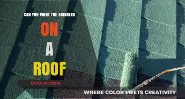 Revamping Your Roof: The Pros and Cons of Painting Shingles