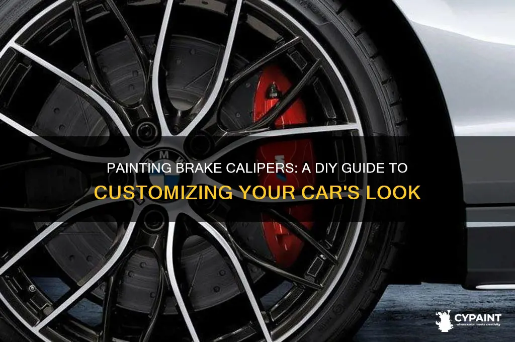 can you paint the tjing your brake pads go on