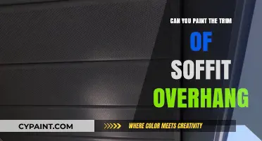 Revamping Your Home's Exterior: Painting the Trim of Soffit Overhangs