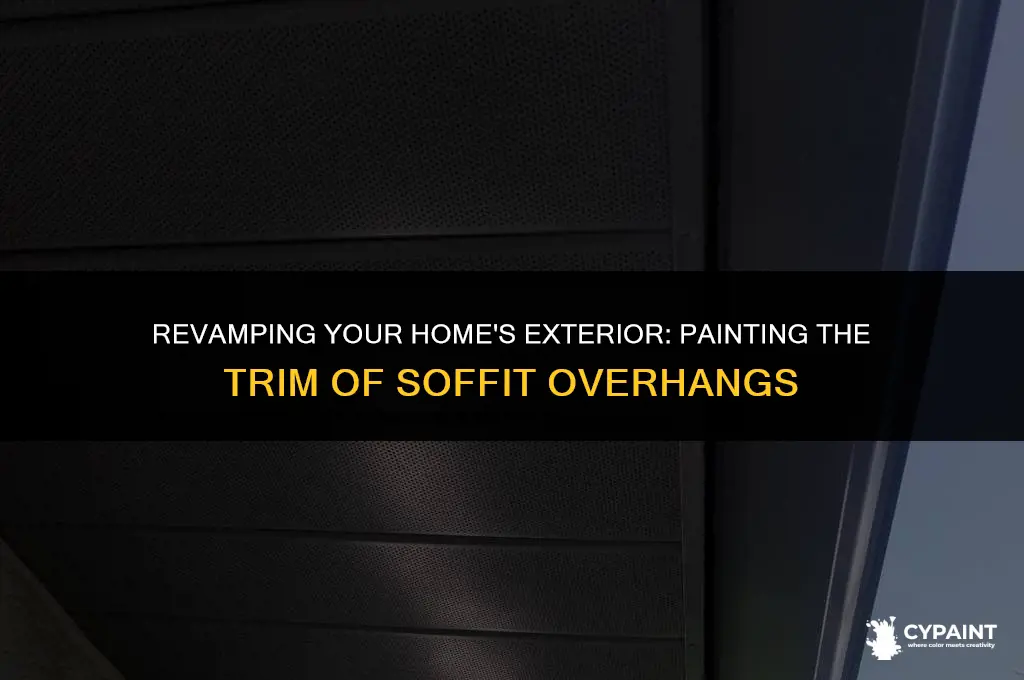 can you paint the trim of soffit overhang