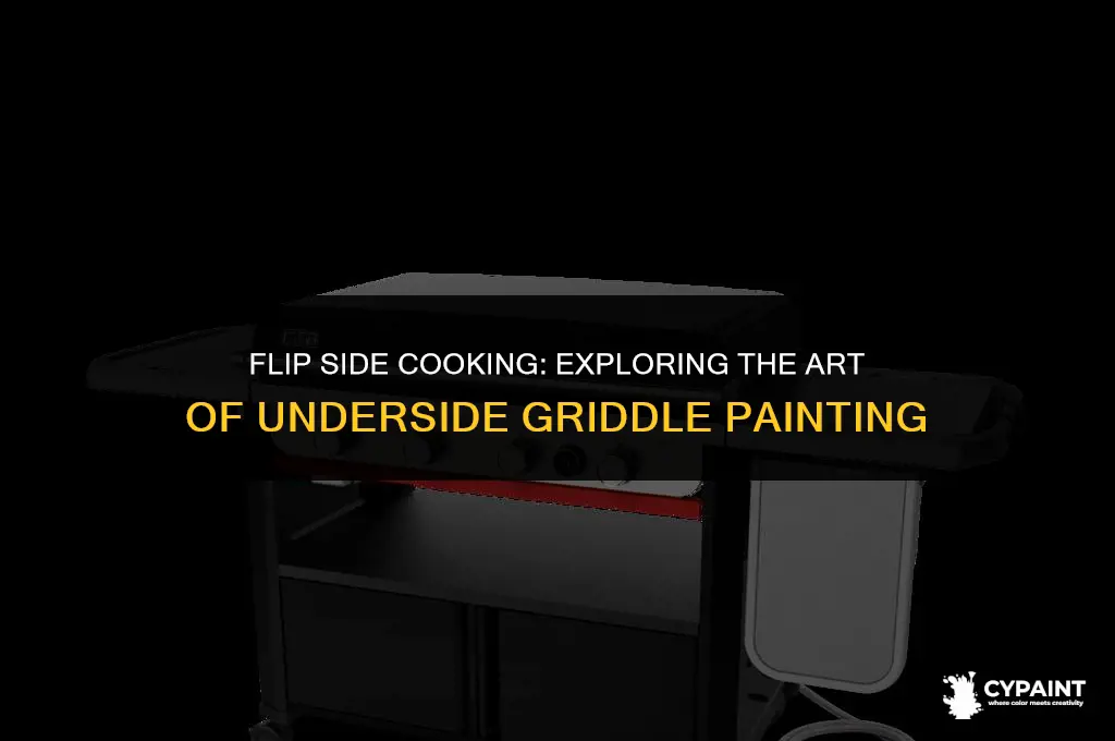 can you paint the underside of your griddle