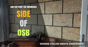 Unleashing Creativity: Painting the Unfinished Side of OSB