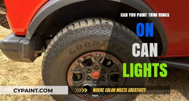 Revamp Your Can Lights: Painting Trim Rings for a Fresh Look