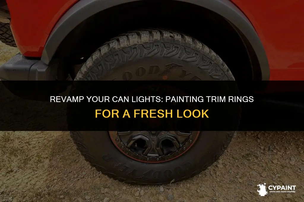 can you paint trim rings on can lights