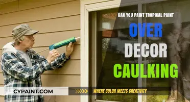 Revamping Your Space: Tropical Paint Over Decor Caulking?