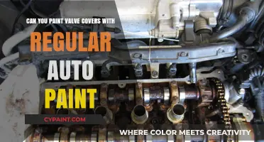Valve Covers: Auto Paint or Not?