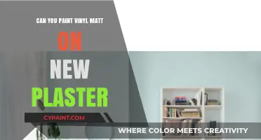 Revamping Walls: The Do's and Don'ts of Painting Vinyl Matt on New Plaster