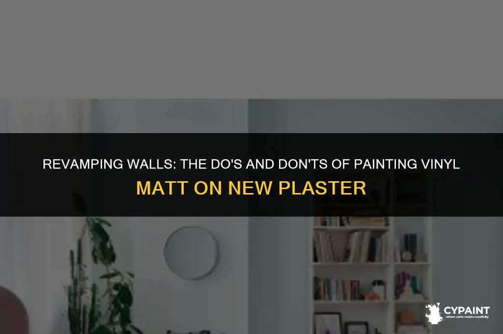can you paint vinyl matt on new plaster