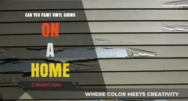 Revamping Your Home's Look: Painting Vinyl Siding - Yes or No?