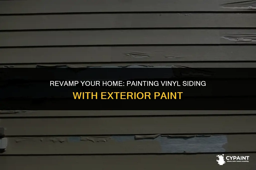 can you paint vinyl siding with exterior paint
