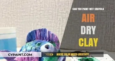 Exploring the Art of Painting Wet Crayola Air-Dry Clay