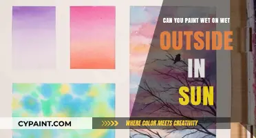 Sunlit Wet-on-Wet Painting: Is It Possible?
