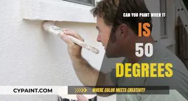 Chill and Create: Painting in the Cool 50 Degrees