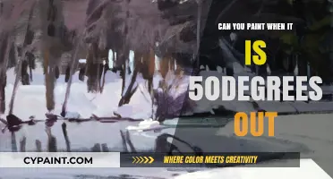Chill and Create: Painting in the Cool 50 Degrees Outdoors