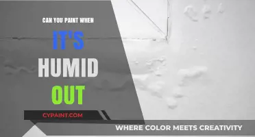 Exploring the Effects of Humidity on Your Painting Projects