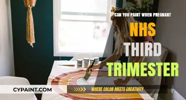 Exploring Pregnancy and Painting: NHS Guidelines for the Third Trimester