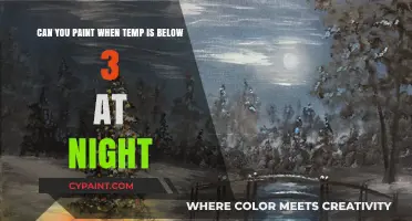 Painting in Cold Weather: Tips for Nighttime Art Below 3 Degrees