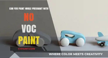 Painting While Pregnant: Safe with No-VOC Paint?