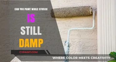 Exploring the Art of Painting on Damp Stucco: Tips and Techniques