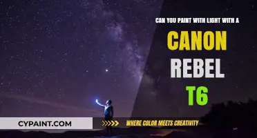 Paint with Light Using Canon Rebel T6: Creative Photography Tips