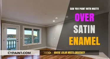 Exploring Paint Finishes: Matte Over Satin Enamel - A Comprehensive Guide
