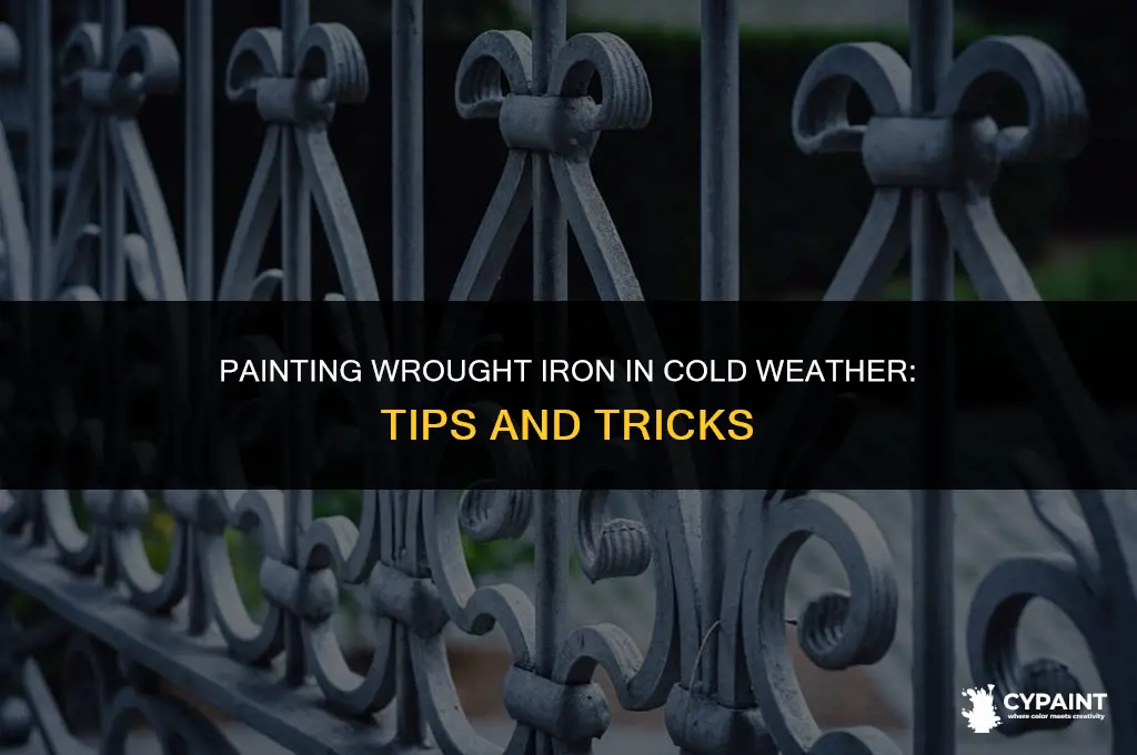 can you paint wrought iron in cold weather